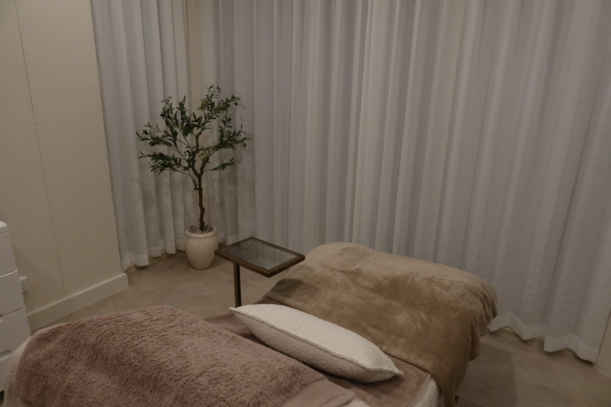 Treatment room with olive tree